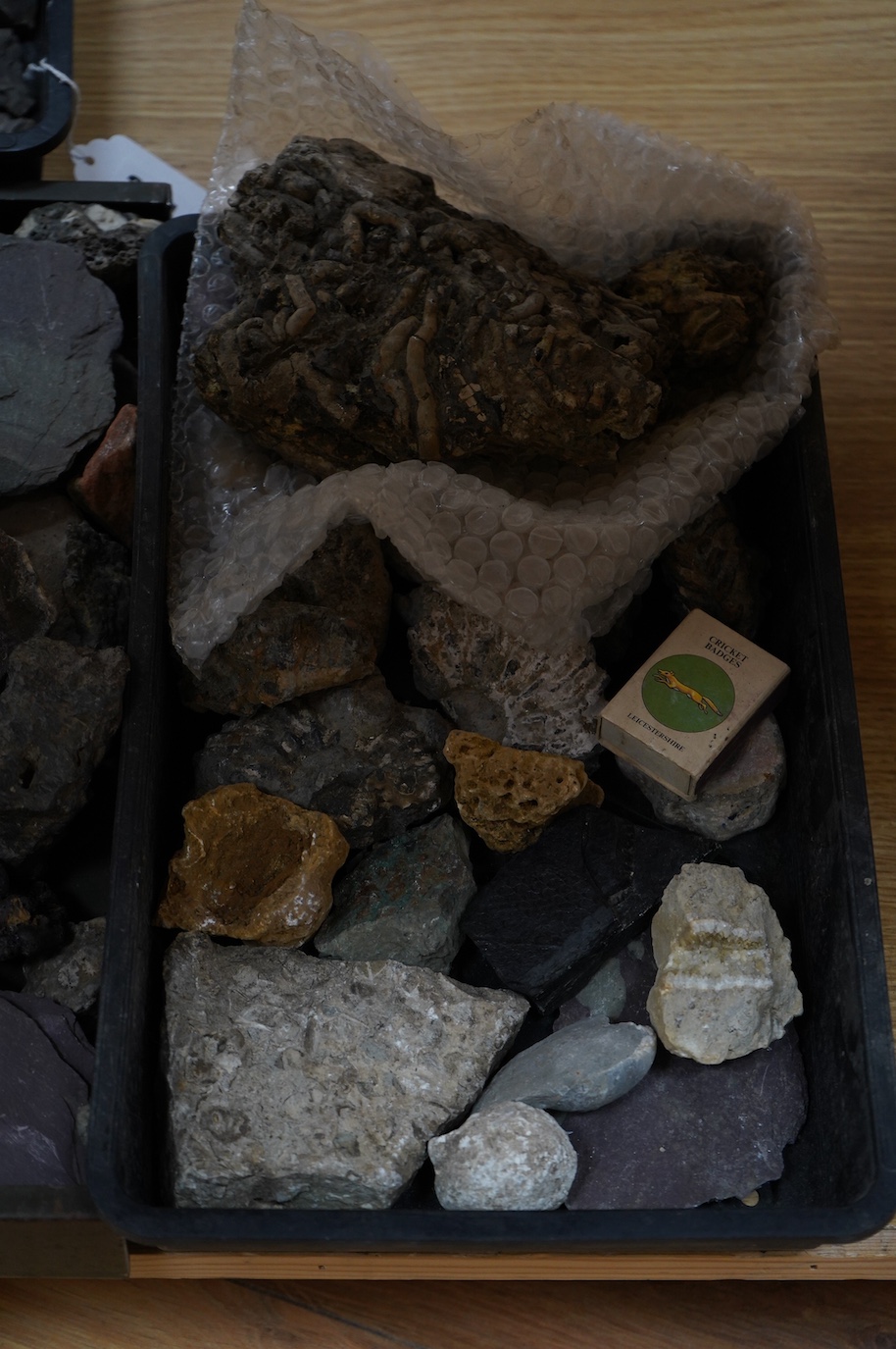 Five trays of fossils and minerals including a glacial river bed sample, lava flow, fossil tree imprint, reduction spots in slate, galina ore sample, a fossil sponge?, ammonites, vertebrae, onchinod ferns, seeds, shell i